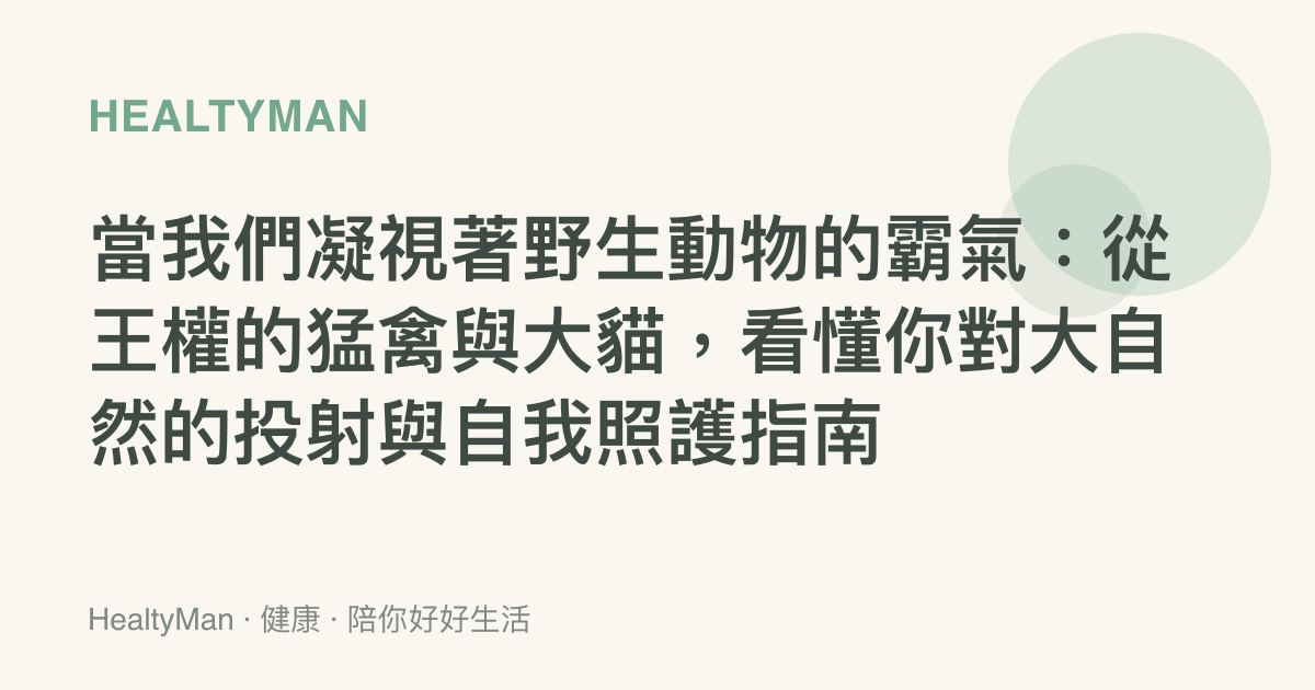 當我們凝視著野生動物的霸氣：從王權的猛禽與大貓，看懂你對大自然的投射與自我照護指南