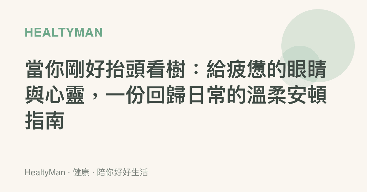 當你剛好抬頭看樹：給疲憊的眼睛與心靈，一份回歸日常的溫柔安頓指南