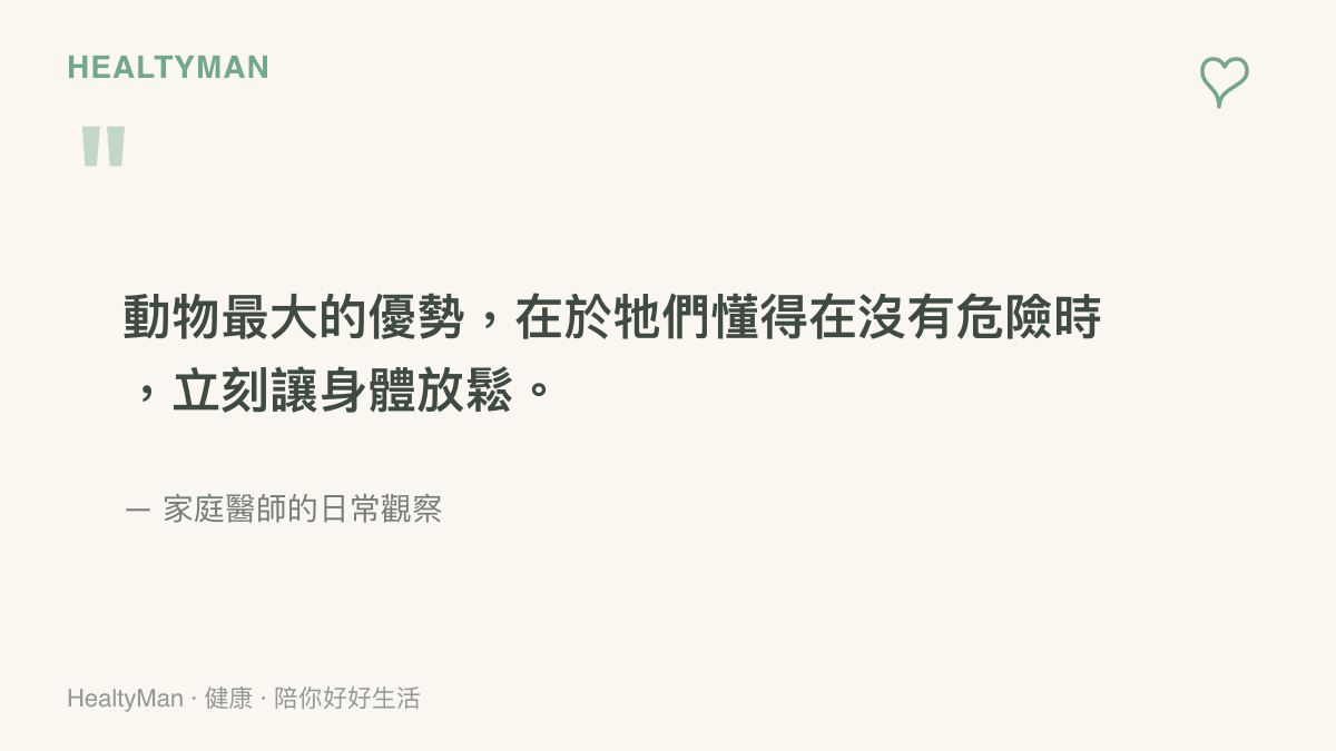 一張引述家庭醫師觀點的圖卡，強調動物在沒有危險時能立刻放鬆身體的特質，提醒現代人學習讓神經系統休息。