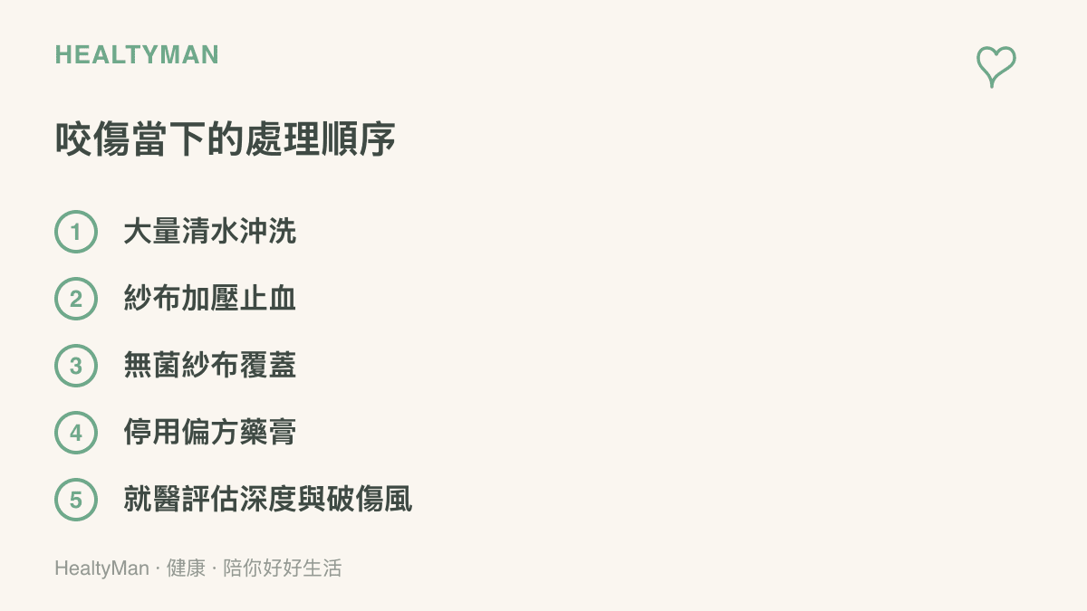 清單依序列出咬傷後的五個處理步驟：大量清水沖洗、紗布加壓止血、無菌紗布覆蓋、停用偏方藥膏、就醫評估深度與破傷風疫苗史