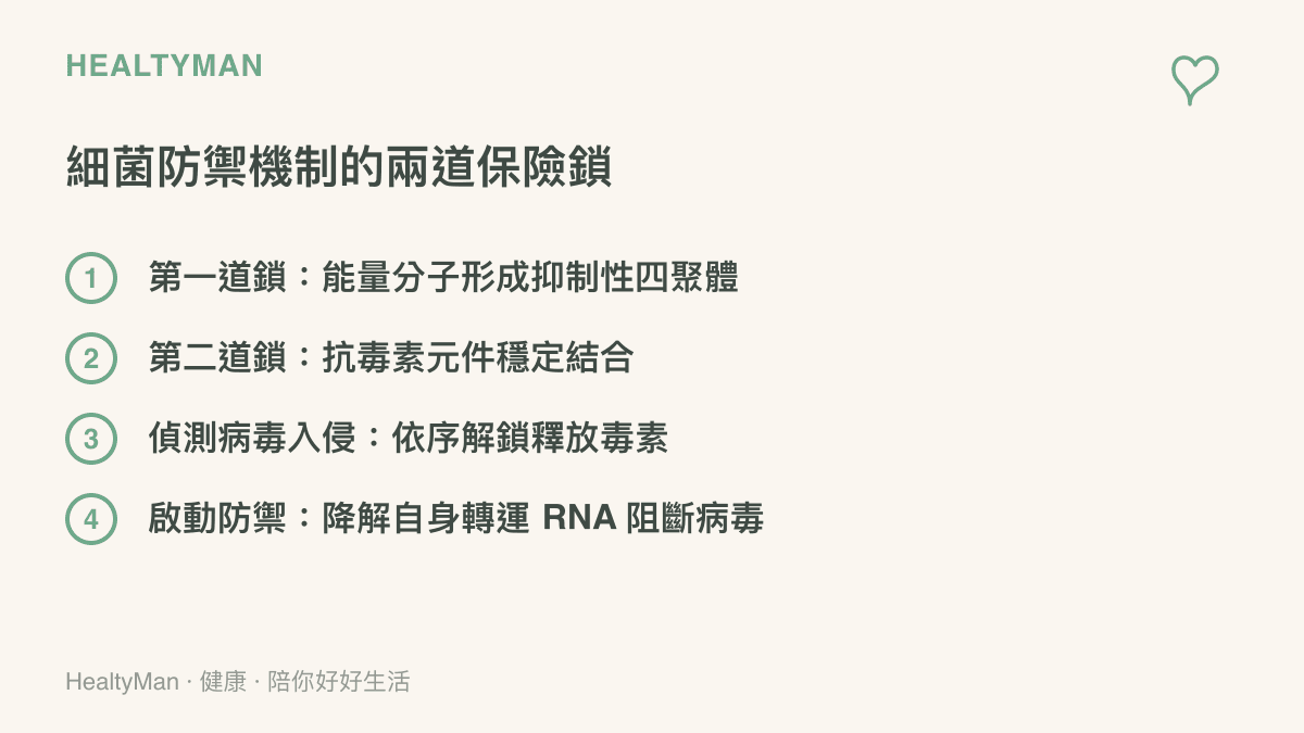 細菌逆轉錄子透過兩道保險鎖控制毒素蛋白的運作機制清單