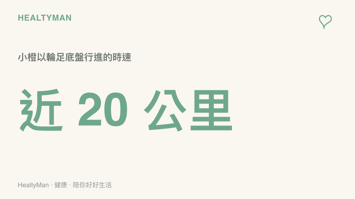 圖卡呈現半人馬機器人小橙以輪足底盤行進時，時速接近每小時20公裏