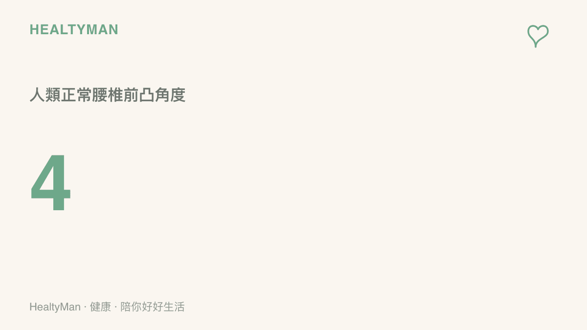 人體解剖圖展示腰椎自然的向前凸起弧度，大約為四節主要受力區域