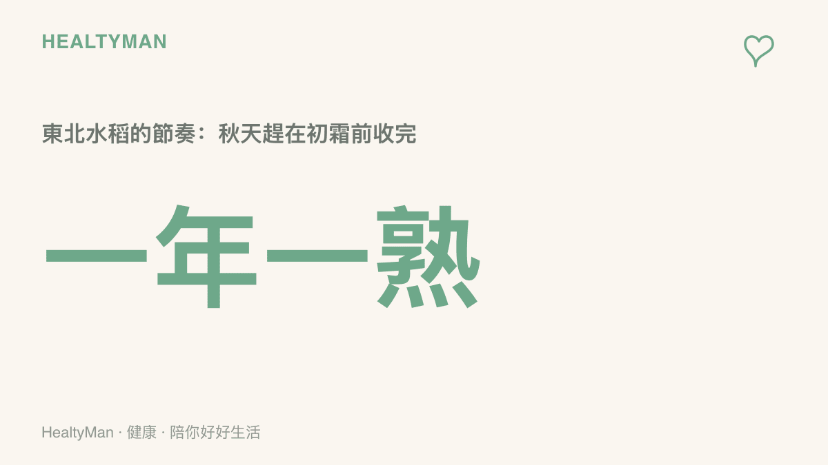 統計圖卡呈現東北水稻一年只收穫一次的節奏，點出分段割曬是為了在秋霜來臨前提前開鐮、分散收穫壓力