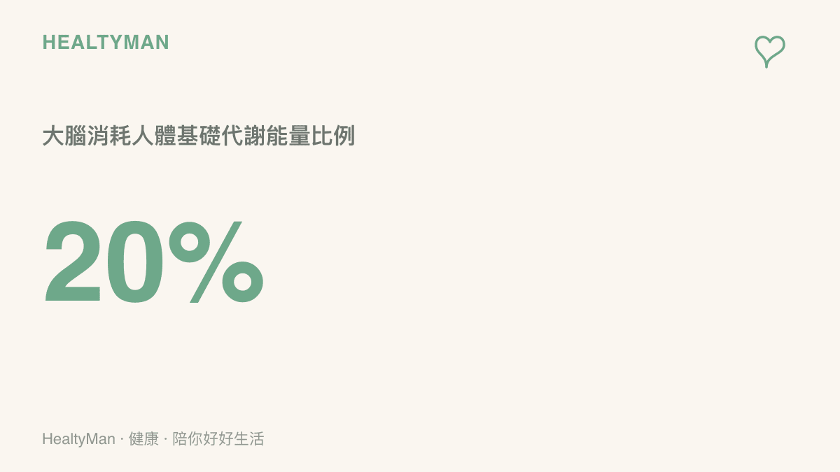 統計數據圖卡呈現大腦重量雖輕卻消耗人體高達百分之二十的基礎代謝能量