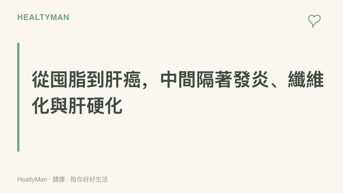 脂肪肝的進展階段依序為肝細胞囤脂、慢性發炎的脂肪性肝炎、纖維化與肝硬化，肝癌風險在後段才明顯升高，中度脂肪肝本身尚非癌症