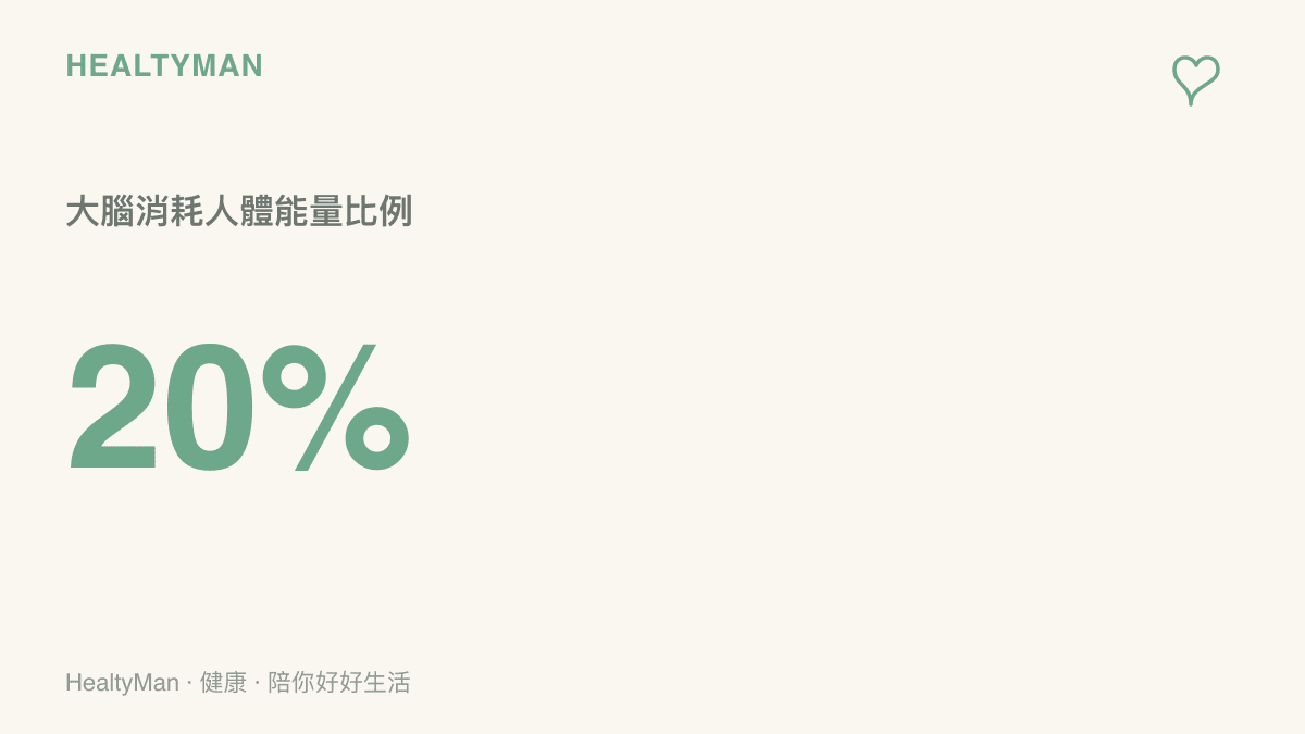 大腦重量僅佔人體百分之二，卻需要消耗超過百分之二十的能量，穩定的營養攝取至關重要。