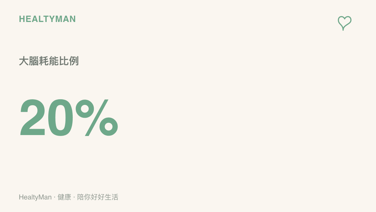 統計圖卡呈現大腦重量雖然僅佔人體百分之二，卻消耗了全身百分之二十的能量