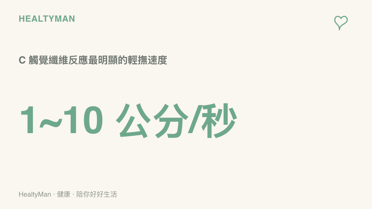 數據呈現皮膚的 C 觸覺纖維對每秒 1 到 10 公分的緩慢輕撫反應最強烈