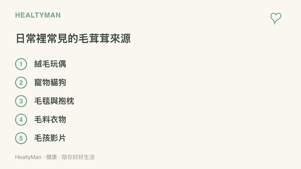 清單列舉日常常見的毛茸茸來源，包含絨毛玩偶、寵物貓狗、毛毯與抱枕、毛料衣物與毛孩影片