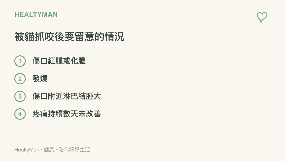 清單圖卡列出被貓抓咬後應就醫的四種情況，包含傷口紅腫化膿、發燒、附近淋巴結腫大與疼痛持續未改善