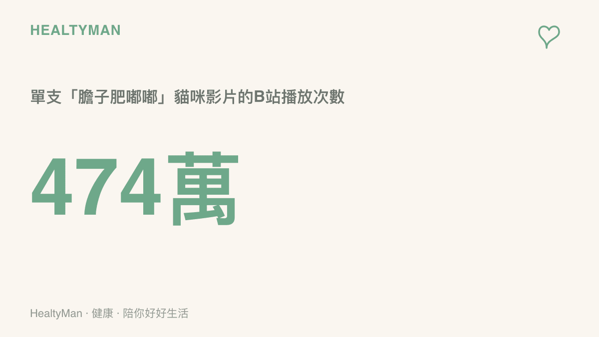 統計圖卡顯示單支「你的膽子真是肥嘟嘟的」貓咪影片在Bilibili累積超過四百七十四萬次播放