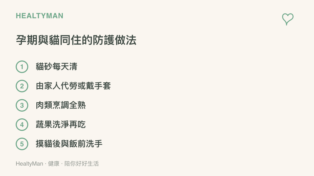 清單圖卡列出孕期養貓的五項防護做法，包含每天清理貓砂、由家人代勞或戴手套、肉類全熟、蔬果洗淨與洗手時機