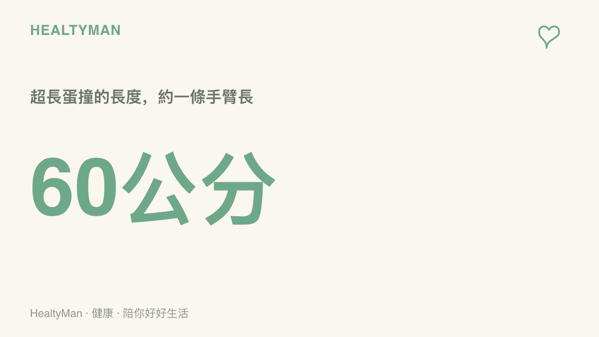 圖卡以六十公分標示超長蛋撞的長度，約等於成年人一條手臂，遠超掌心大小的一般蛋撞