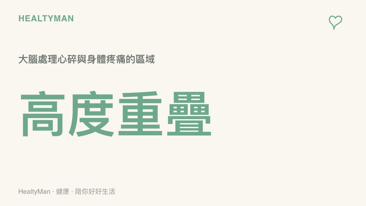 一張說明大腦在處理社會拒絕與身體疼痛時，其活躍區域呈現高度重疊的概念圖卡。