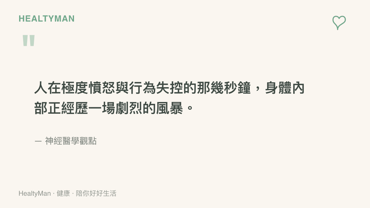 人在極度憤怒與行為失控的那幾秒鐘，身體內部正經歷一場劇烈的風暴。