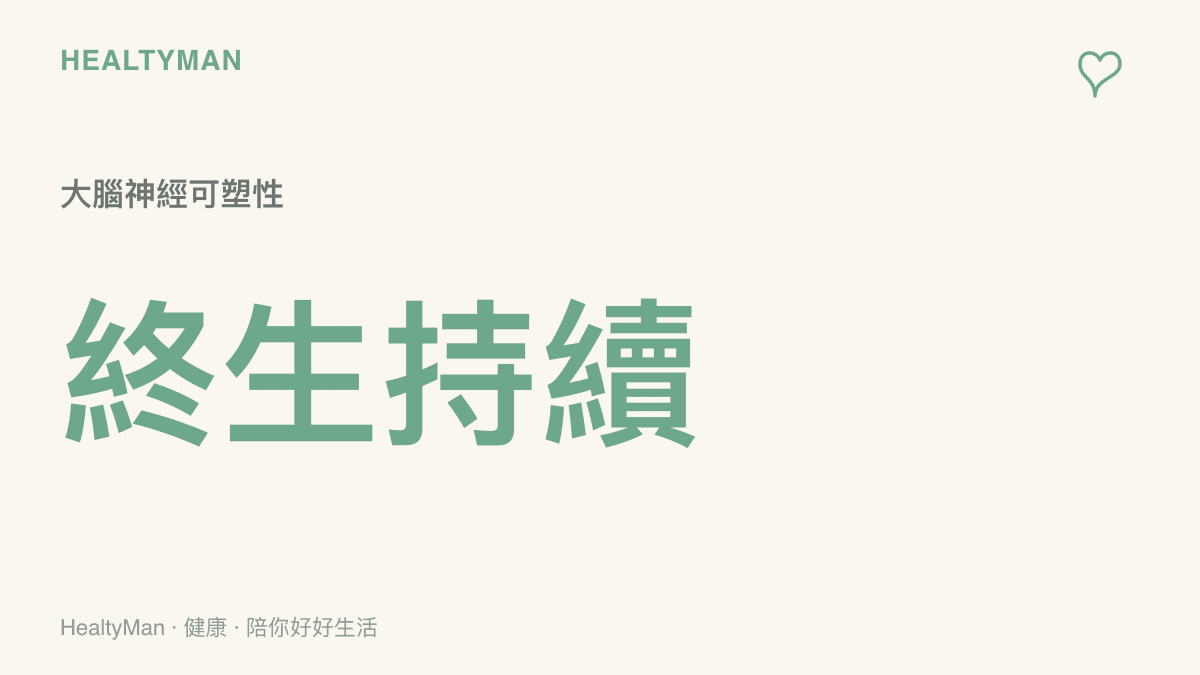 說明大腦神經可塑性並非兒童專屬，而是終生持續存在的機制