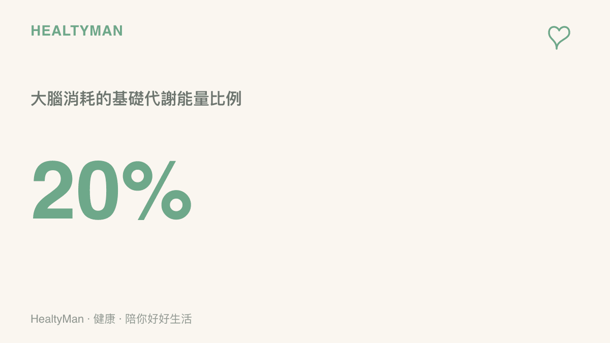 統計圖卡呈現大腦消耗了人體基礎代謝能量中百分之二十的比例，說明高強度思考的耗能規模