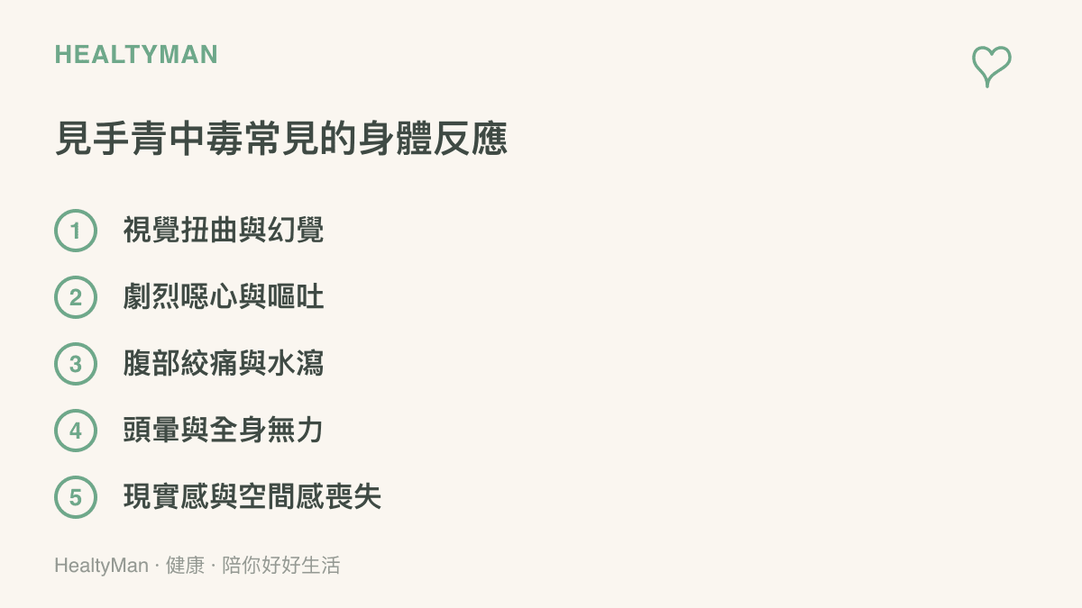列出食用未熟見手青後常見的五種身體不良反應，包含幻覺、嘔吐、腹瀉、無力與空間感喪失