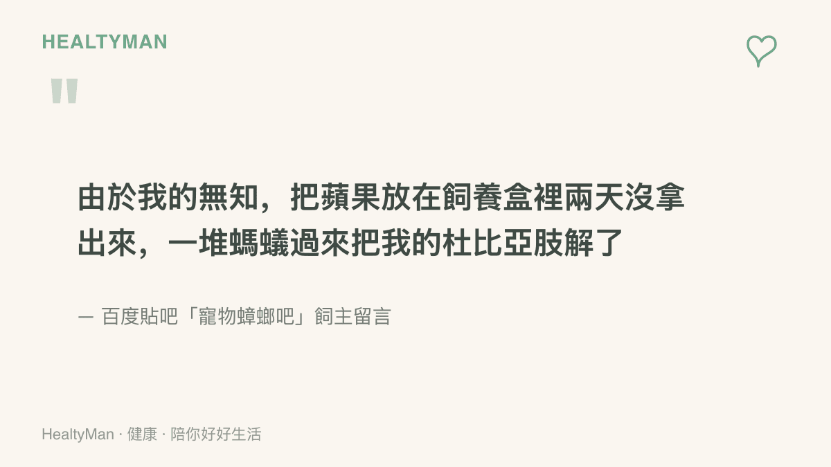 貼吧飼主留言原文，描述蘋果放在飼養盒兩天沒拿出來，螞蟻聞味而來喫掉他的杜比亞蟑螂