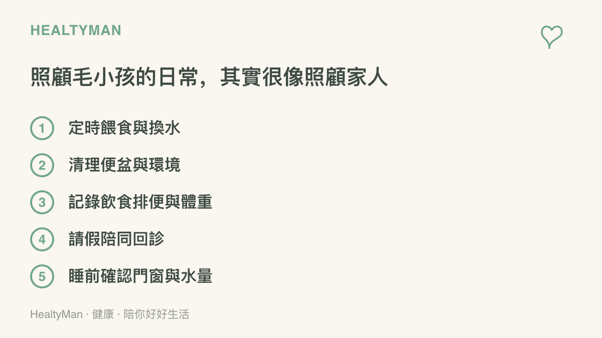 清單圖列出飼主每天的照顧工作，包括定時餵食換水、清理便盆、記錄寵物飲食排便與體重、請假陪同回診、睡前確認環境安全，說明自稱爸爸媽媽背後的照顧實質