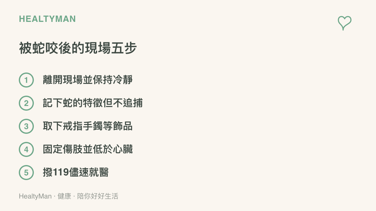 圖卡整理被蛇咬後的五個處理步驟：離開現場保持冷靜、記住蛇的特徵、移除飾品、固定傷肢保持低於心臟，以及撥打119儘速就醫