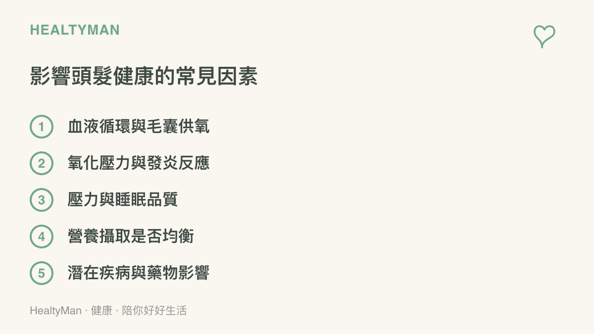 影響頭髮健康的常見因素條列清單，包含血液循環、氧化壓力、壓力睡眠、營養與疾病五大方向