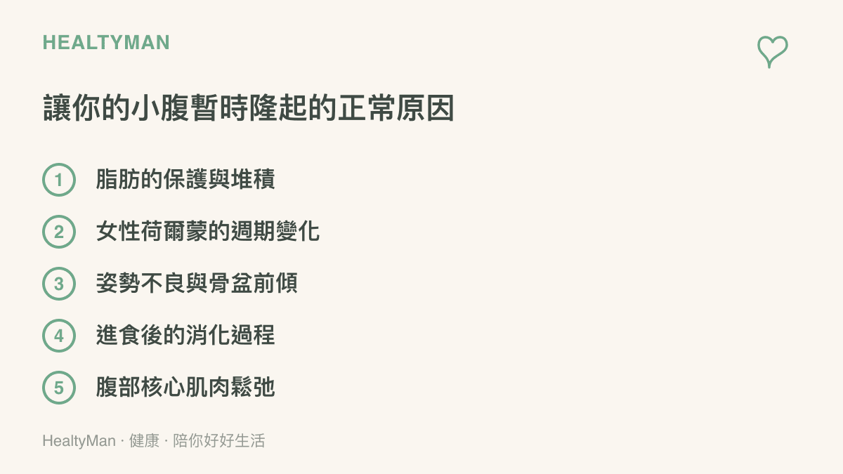 圖卡列舉出包含脂肪堆積與荷爾蒙變化等五個導致腹部暫時隆起的正常生理原因