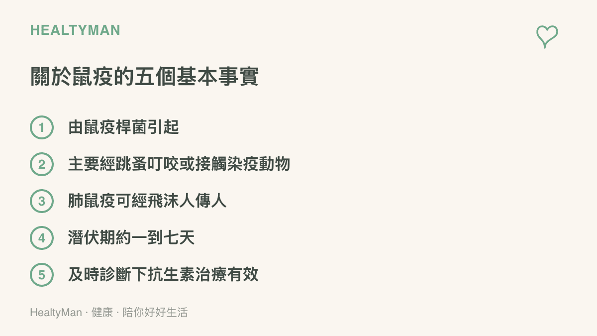 鼠疫的五個基本事實一覽：鼠疫桿菌病原、跳蚤叮咬傳染途徑、肺鼠疫飛沫人傳人、潛伏期約一到七天，以及及時接受抗生素治療有效