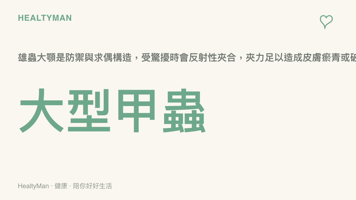 鍬形蟲大顎夾力衛教圖卡：說明雄蟲大顎是防禦構造、受驚嚇會反射性夾合、足以造成兒童手指瘀青或破皮