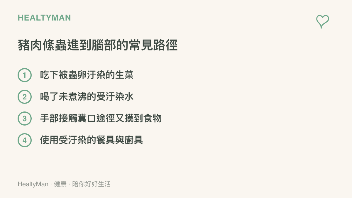 豬肉絛蟲從口腔進入到腦部感染的四個主要途徑條列圖卡