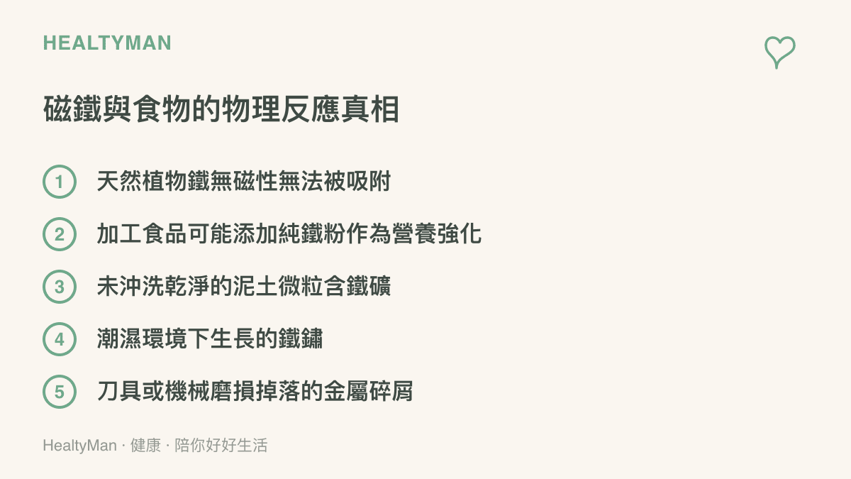 列舉天然食物與加工食品對磁鐵產生反應的五種可能原因，包括營養強化鐵粉與機械碎屑